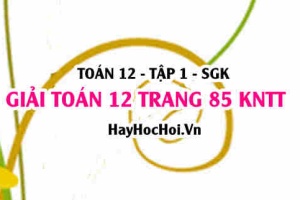 Giải Toán 12 trang 85 tập 1 Kết nối tri thức